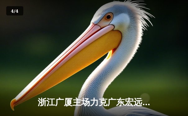 浙江广厦主场力克广东宏远，胡金秋独得33分率队取关键胜利 - 4